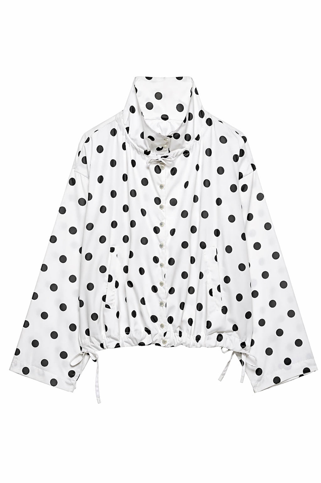 Polka Dot Blouse  image 1